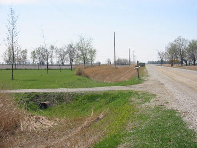 large ditch filled with dormant (brown) Miscanthus sacchariflorus