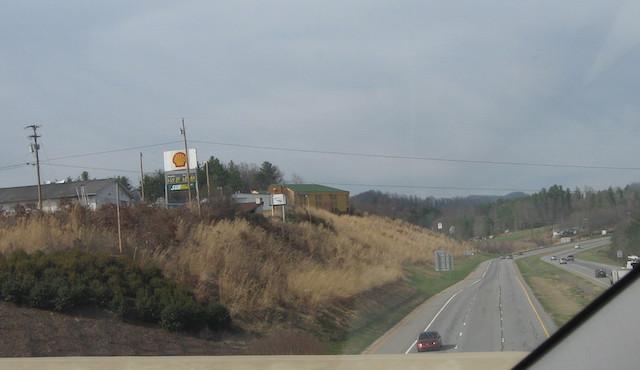 This March 2011 photo shows a hillside of miscanthus along route 23 near Mars Hill, NC.