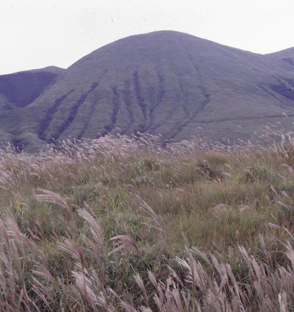 grasslands in the Mt. Aso area in central Kyushu