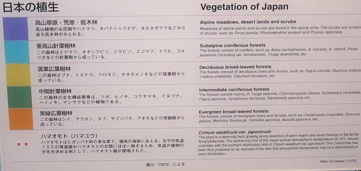 key to the vegetative regions of Japan