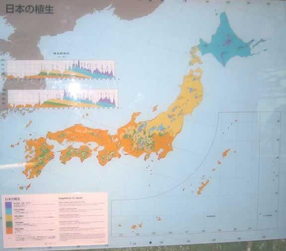 The vegetation map of Japan shows very little grassland.